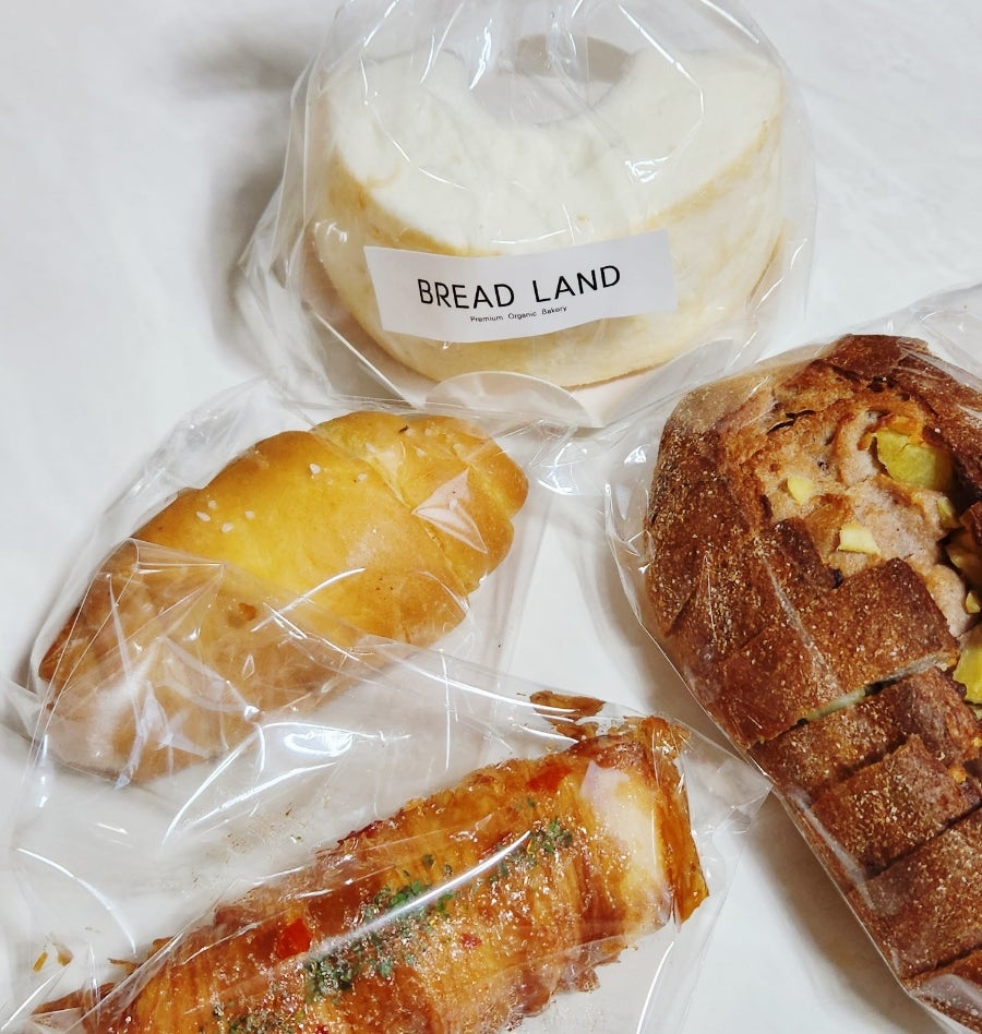 브레드랜드(BREAD LAND) 이미지