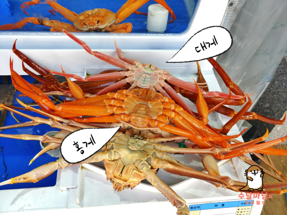 금광호수산 이미지