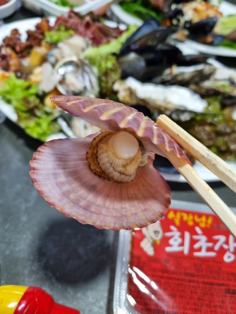 오늘도회떳다 이미지