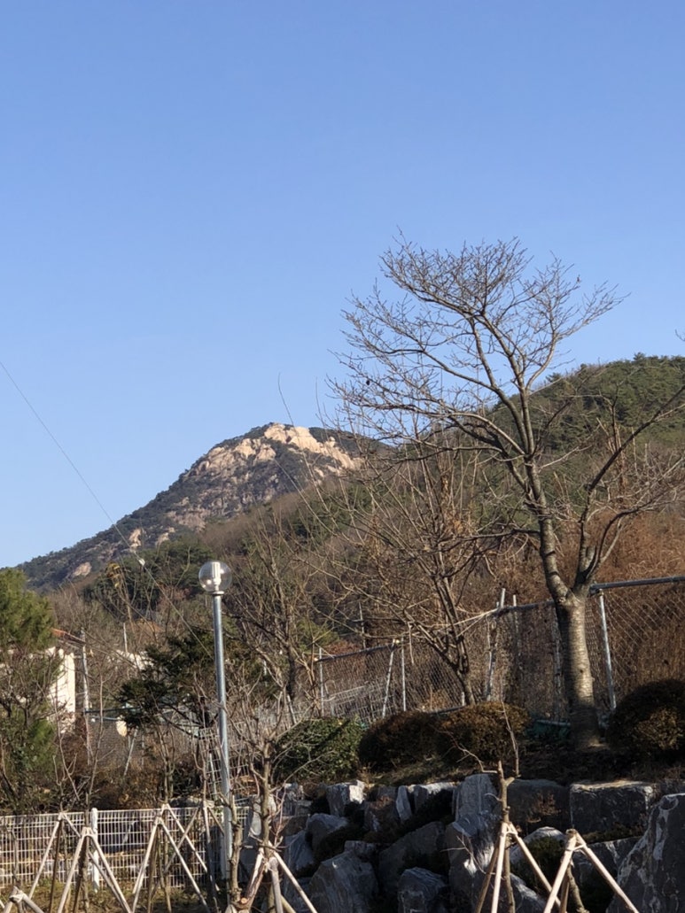 섬진강빵집 이미지