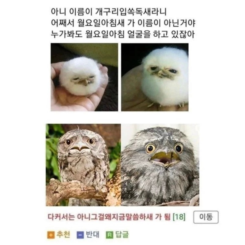 (주)겨울 이미지