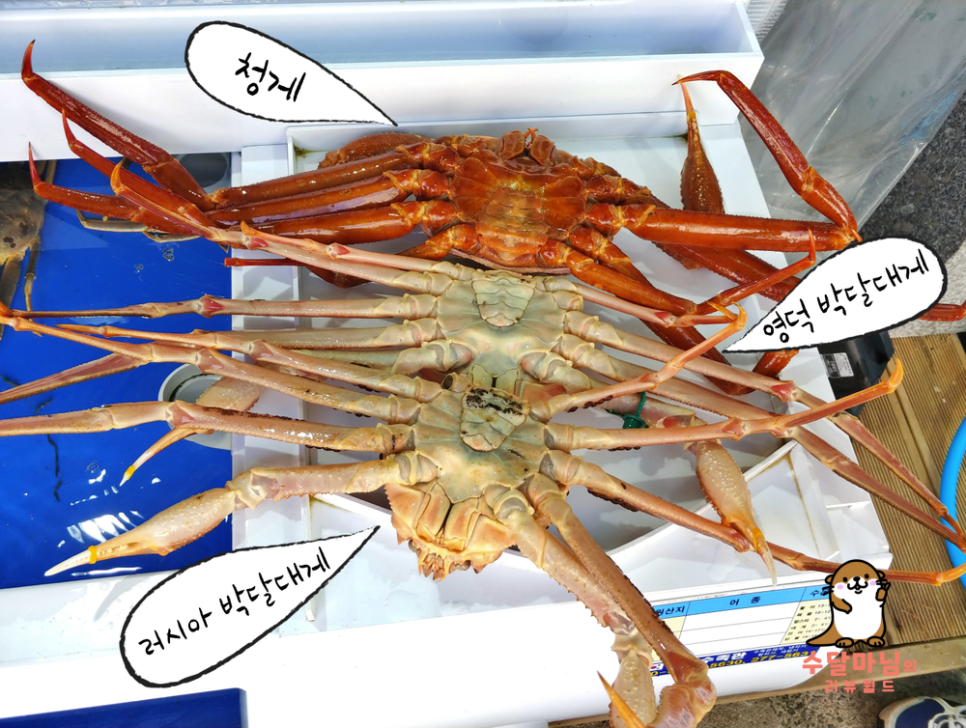 금광호수산 이미지