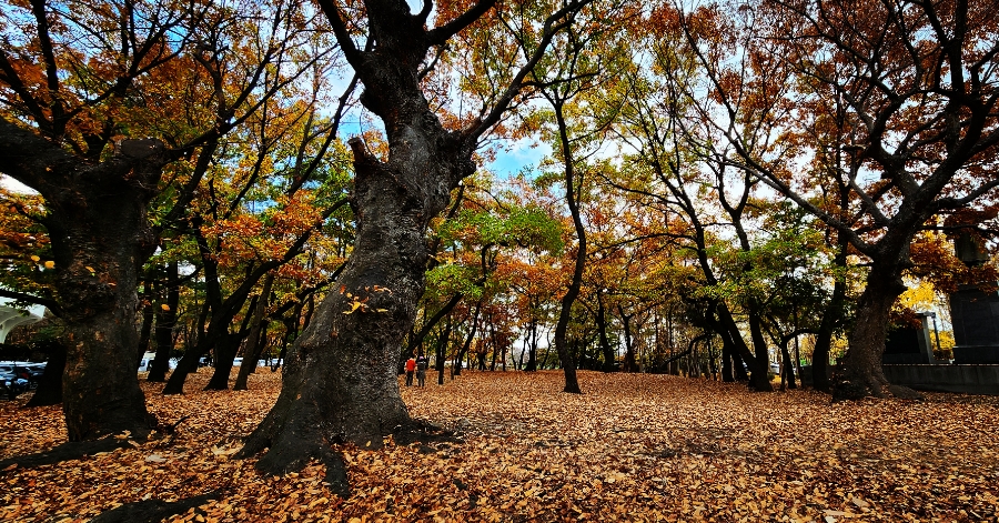 경주인문학연구소 이미지