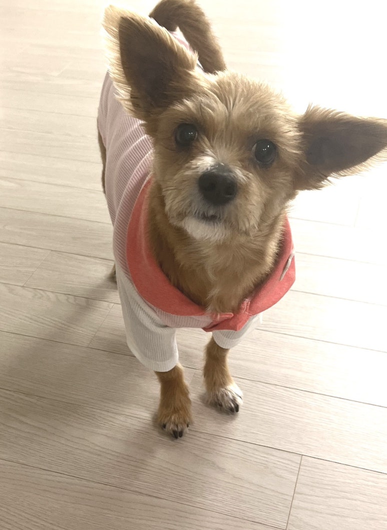 도굿스토리 이미지