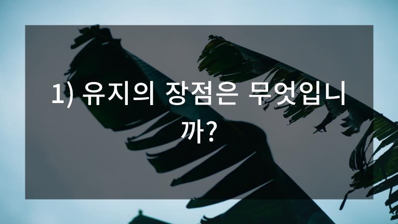 (주) 백그라운드 이미지