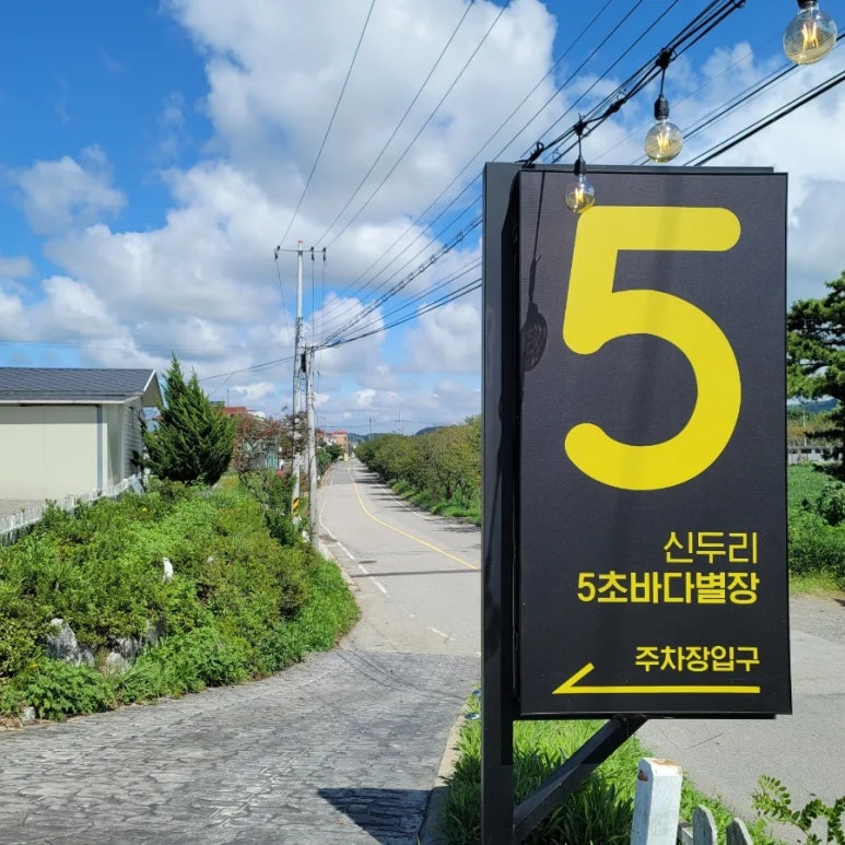 신두리5초 이미지