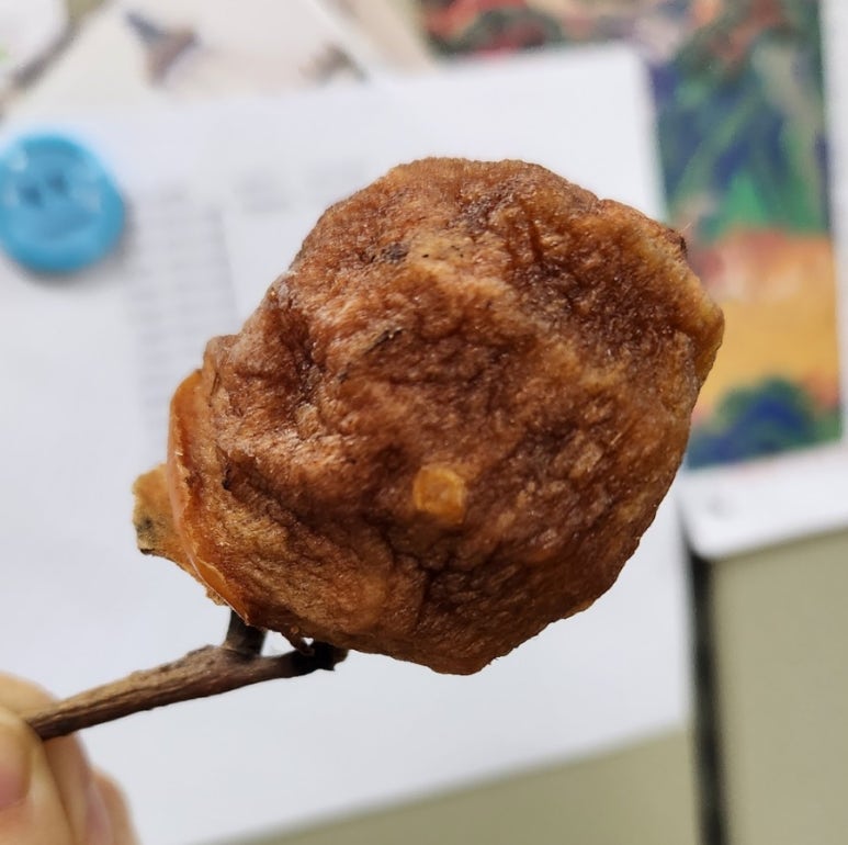 곰체육관 이미지