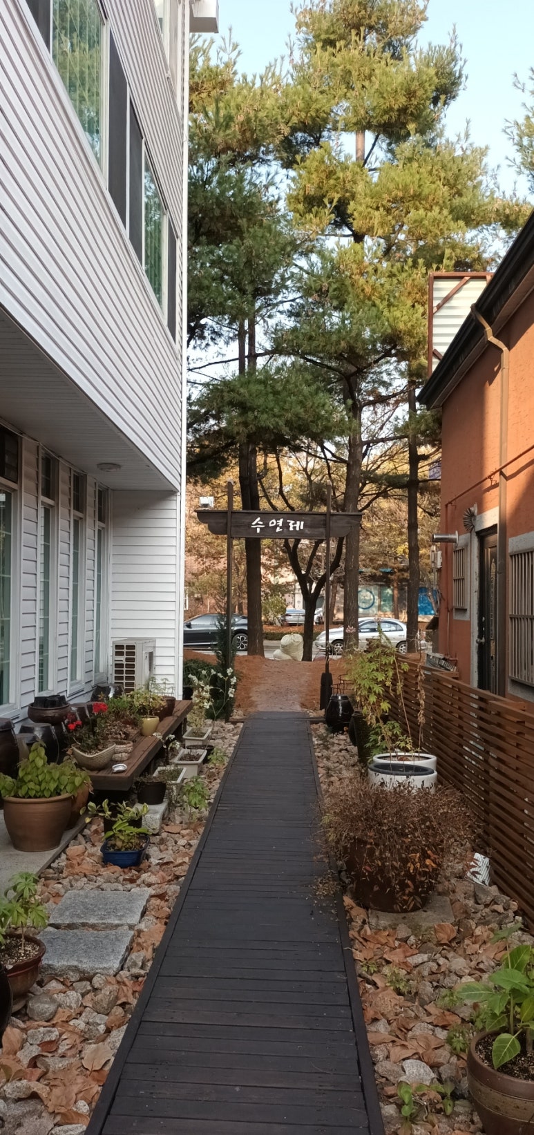 수연제 이미지