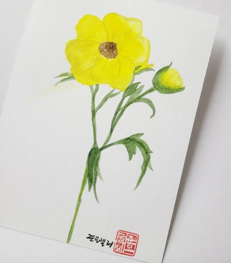 얼리래터 이미지