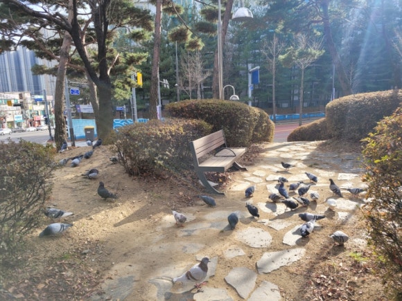 이디야기흥 이미지