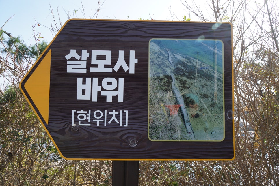 푸드항 이미지