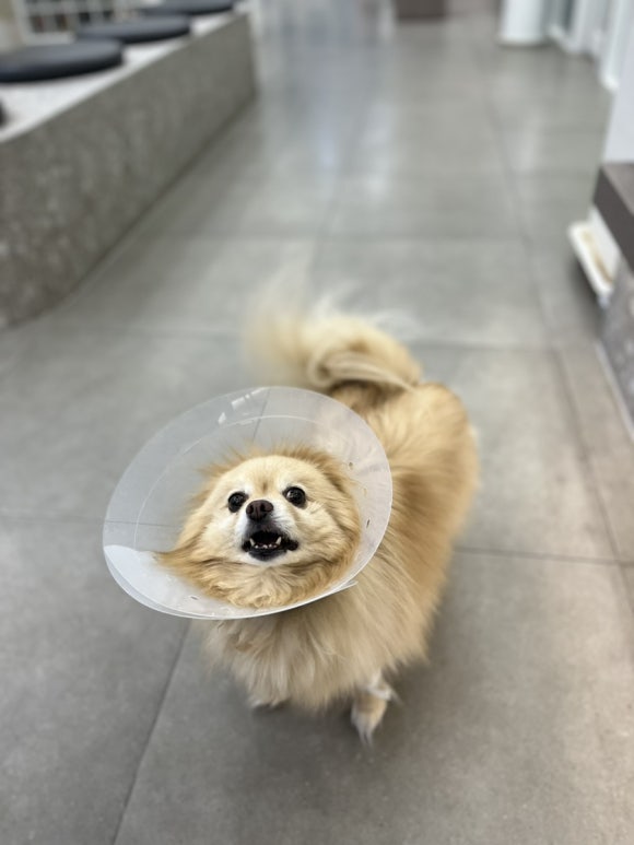 우긋 이미지
