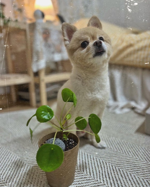 우긋 이미지