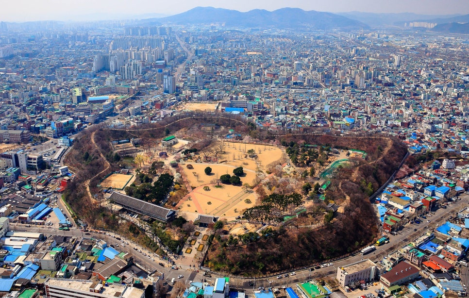 나이테대구지사 이미지