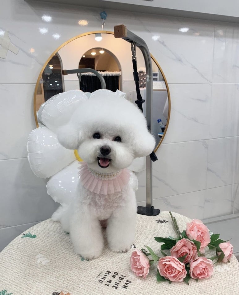 앵두미용실 이미지