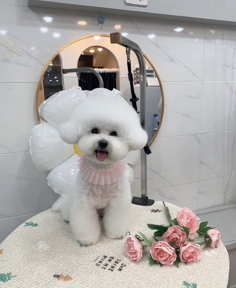 앵두미용실 이미지