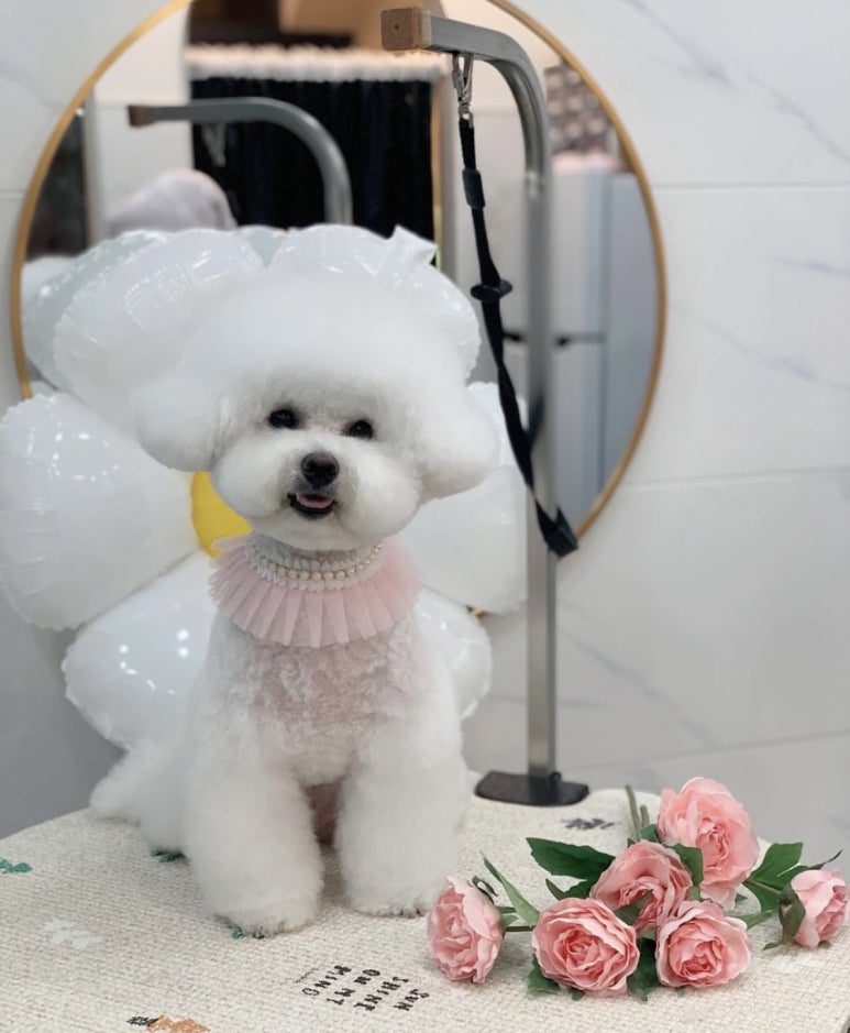 앵두미용실 이미지