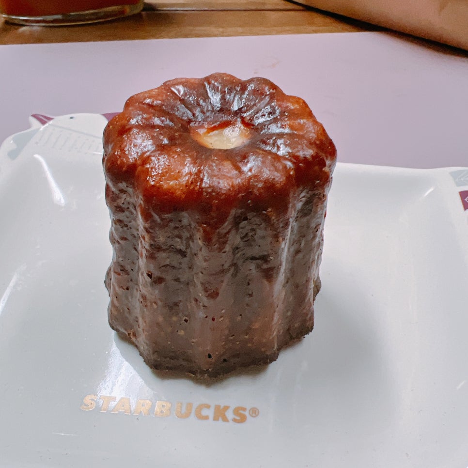 스코니 이미지