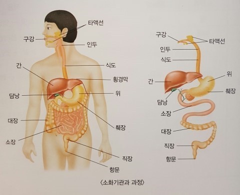 안양역요양보호사교육원 이미지