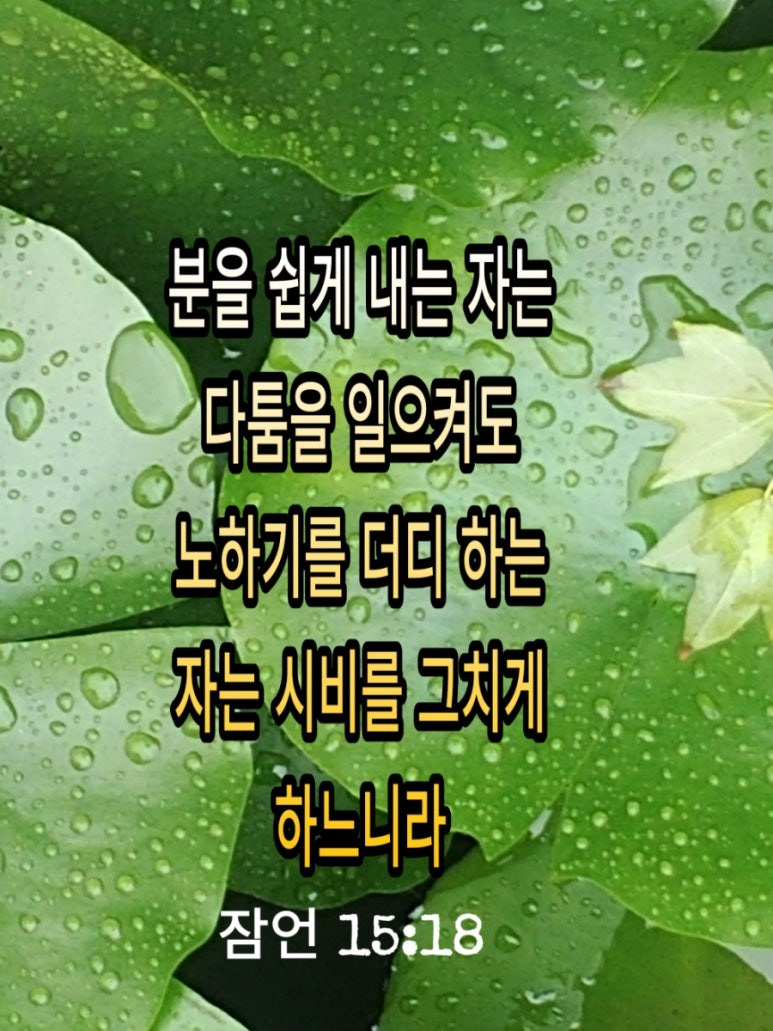Moon안다미로 이미지