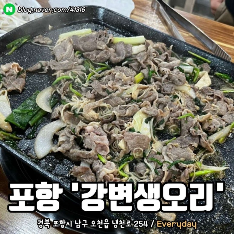강변생오리 이미지