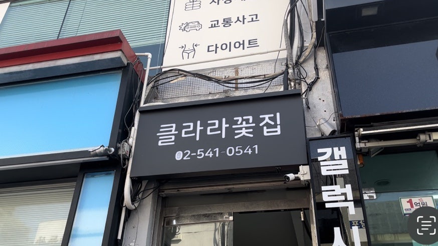 클라라꽃집 이미지