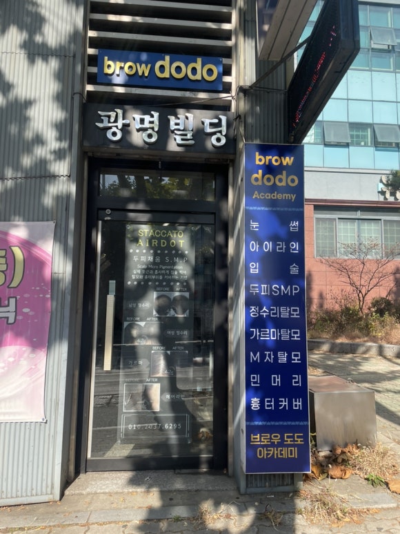도도브로우 이미지