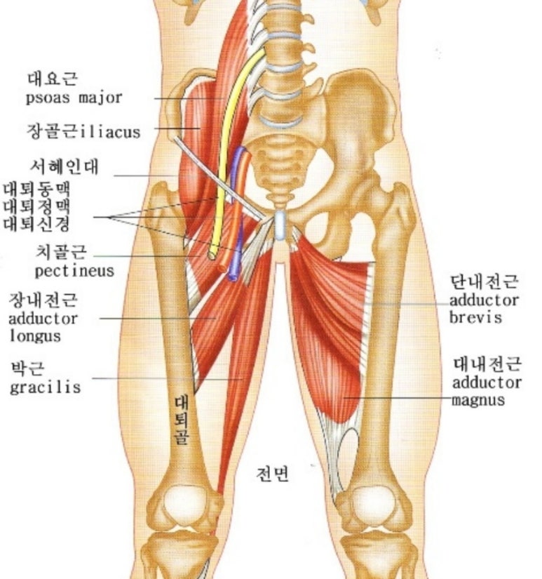 체형교정원 이미지
