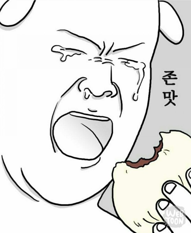 (주)고양이스튜디오 이미지