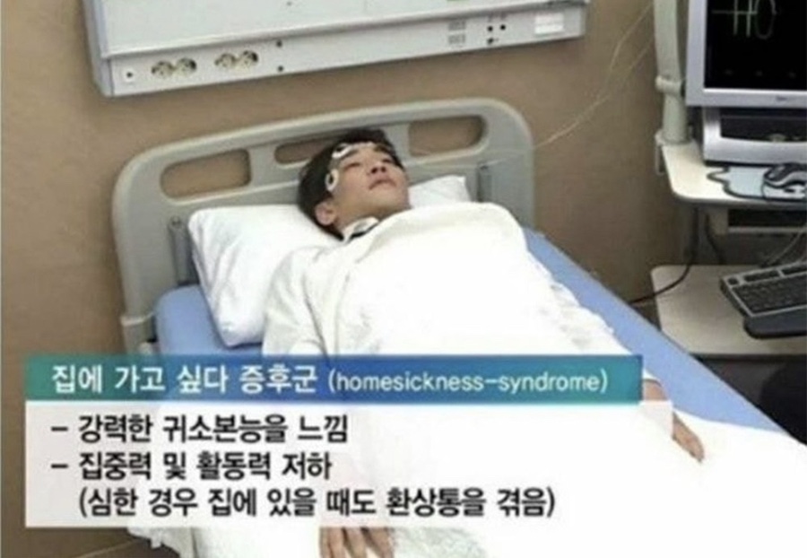 쩨리네 이미지