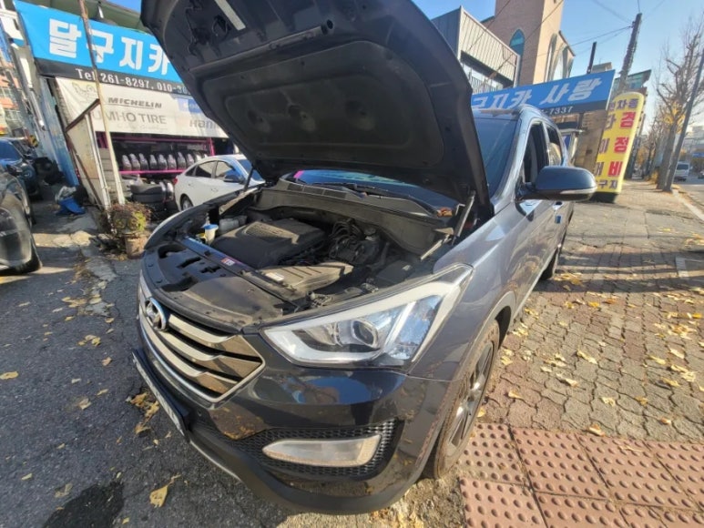 달구지카사랑 이미지
