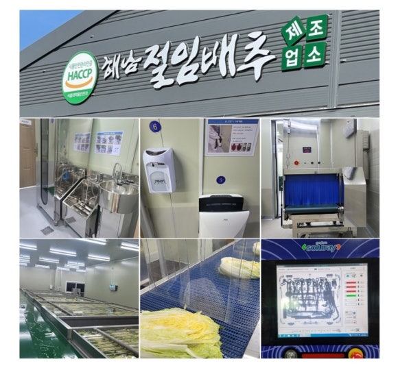 땅끝유통 절임배추 이미지