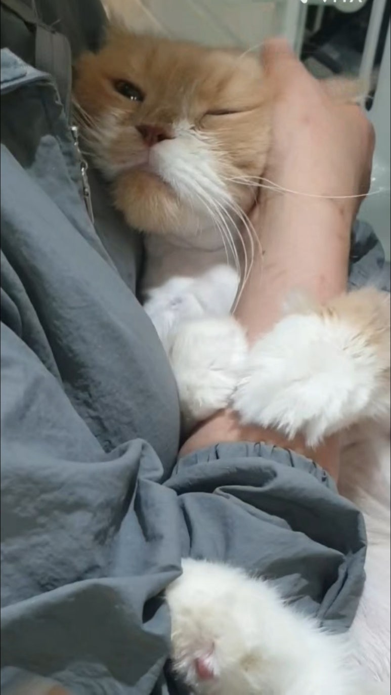 네일후이 이미지