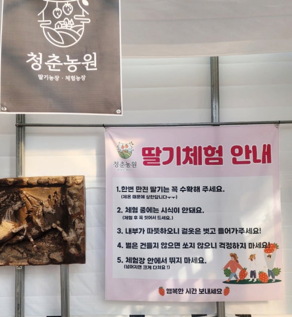 청춘농원 이미지