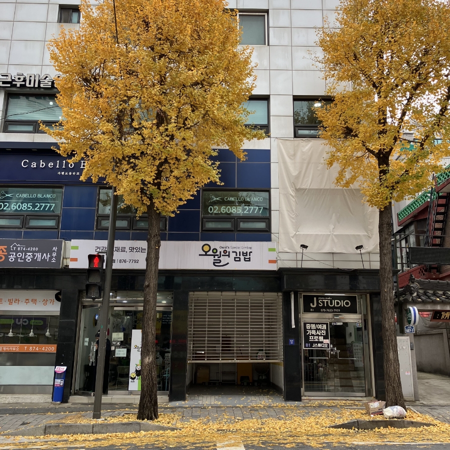 오월의김밥 이미지