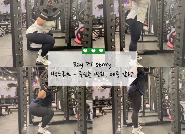피티스토리 이미지