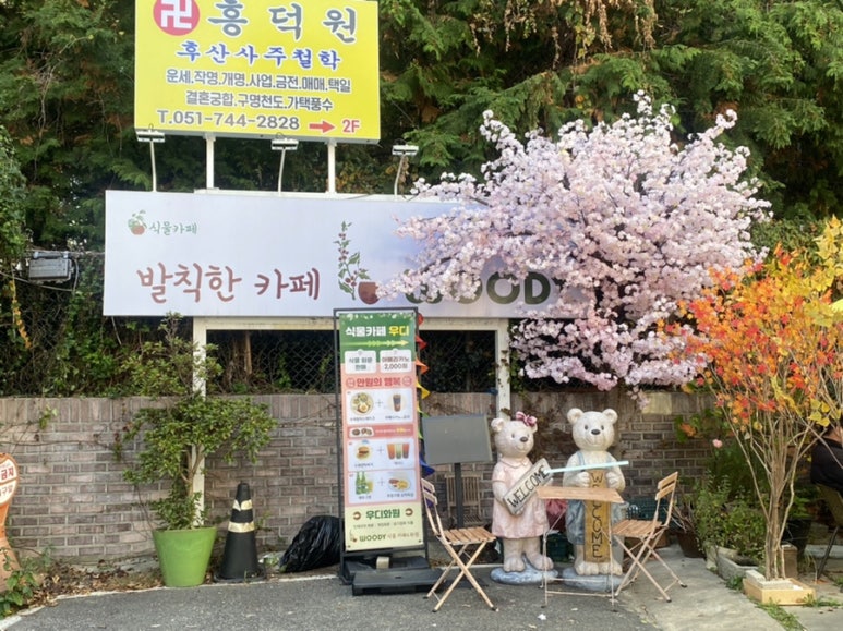 발칙한카페우디 이미지
