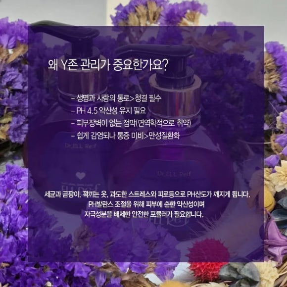 엘뤼프 이미지