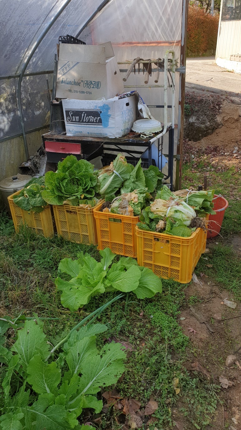 봉화농산 이미지