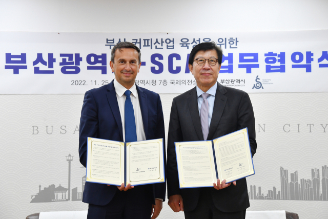 국제스페셜티커피협회 이미지