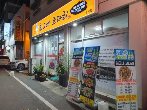최고네코다리 이미지