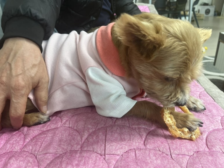 도굿스토리 이미지