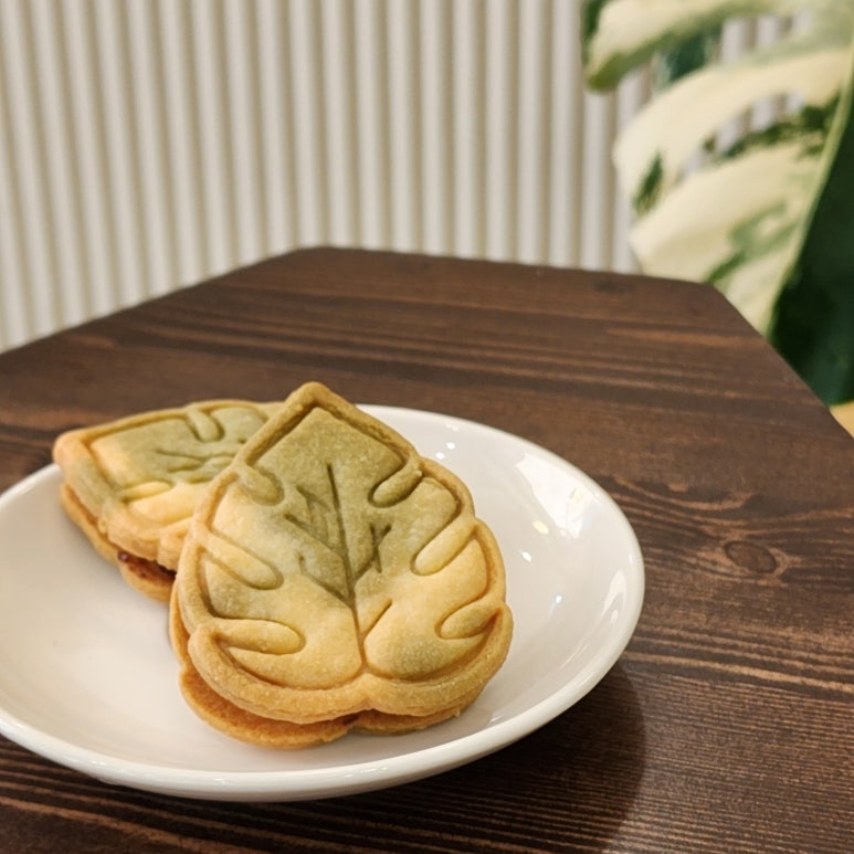 카페다담 이미지