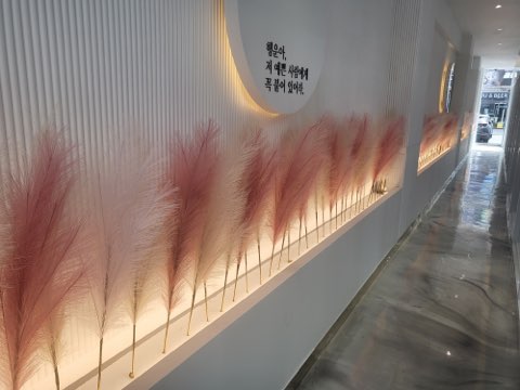 마이헤어룸 이미지