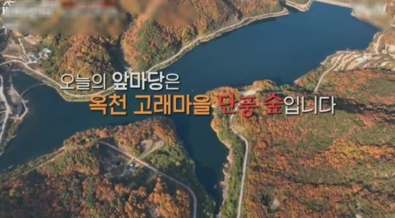 고래숲 관광농원 이미지