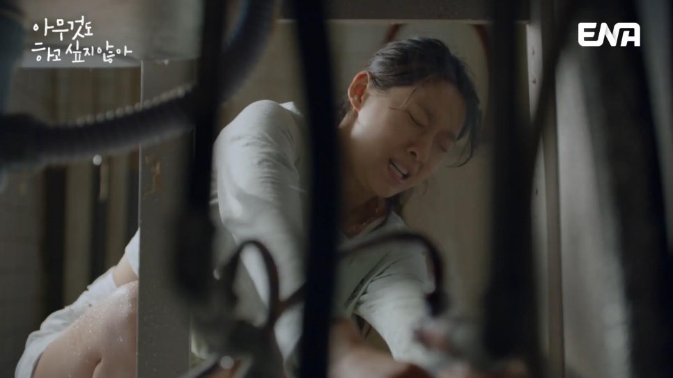 성민당구장 이미지