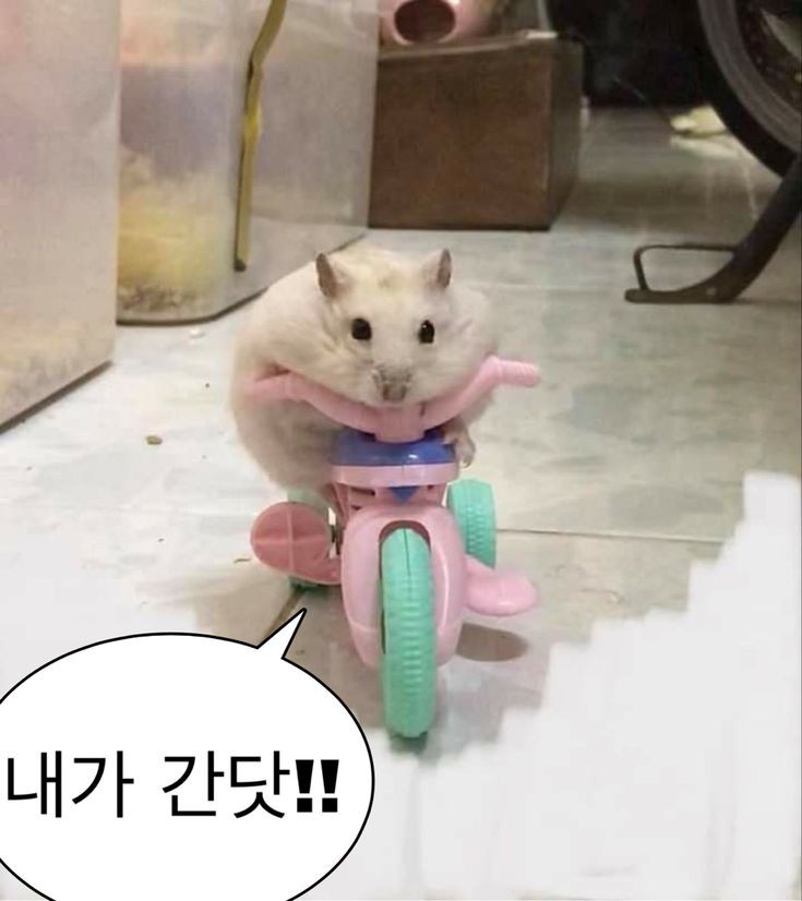 바다회마을2 이미지