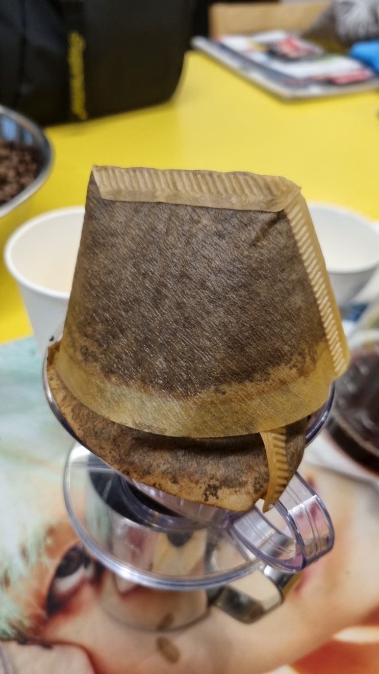 그로우빈스 이미지