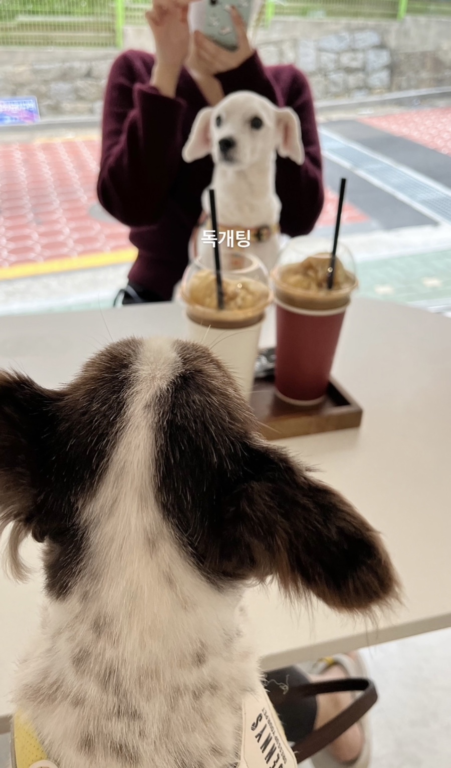 누을(Nueul) 이미지