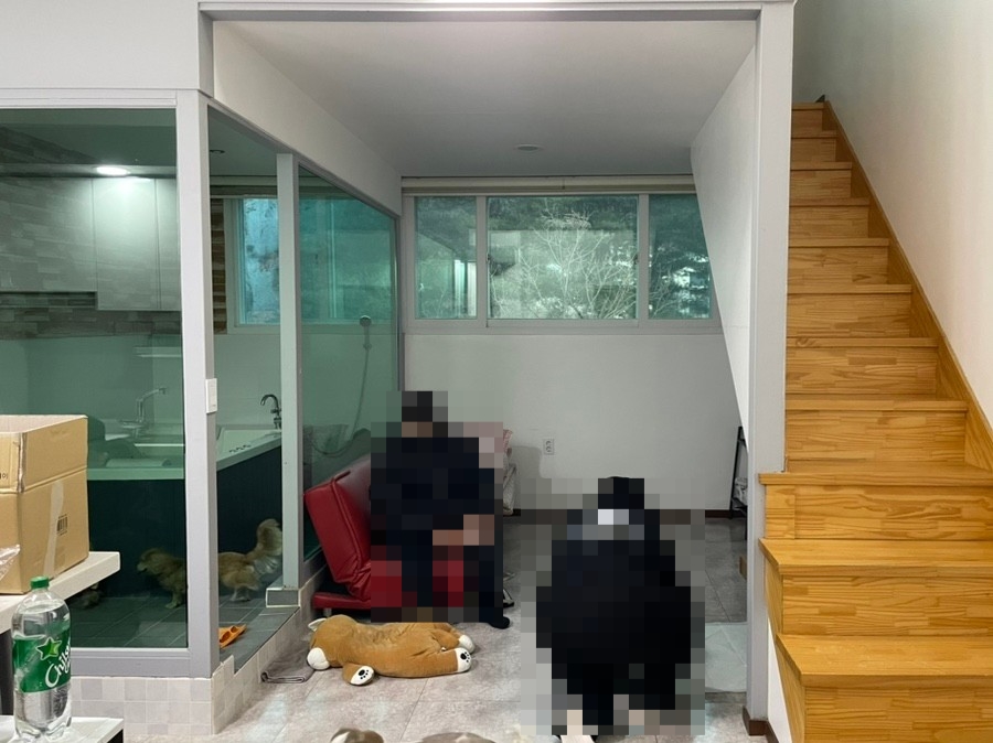 갤럭시하우스스파펜션&애견펜션 이미지
